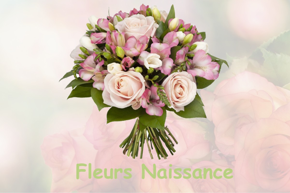 fleurs naissance CHAINGY